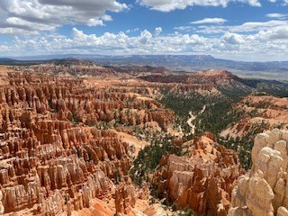 Obituary of Judy Wilson