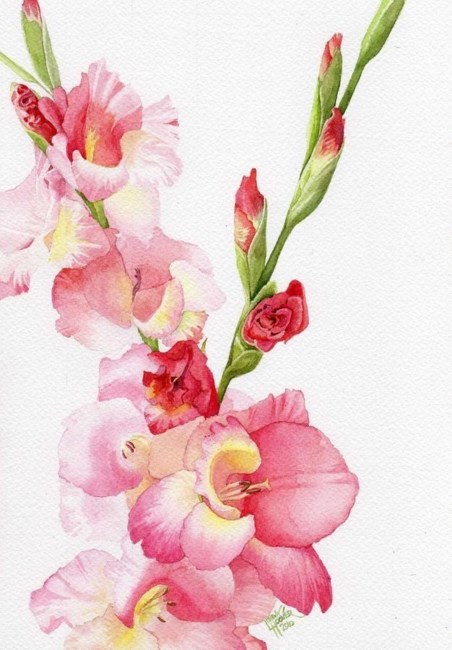 Obituary of Paula Christine Fagg