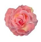 Obituary of Margaret Anna Rothlin Flynn