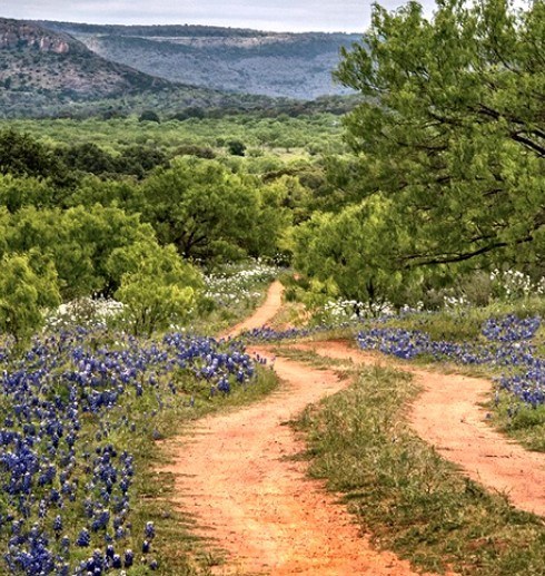 Obituary of John Marshall McKinney Jr.