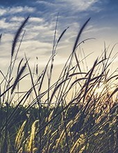 Obituary of Charles Albert Richards