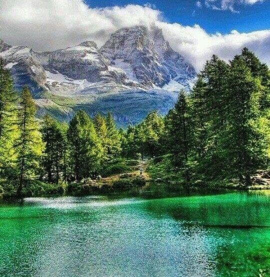 Obituary of Edward Casebeer