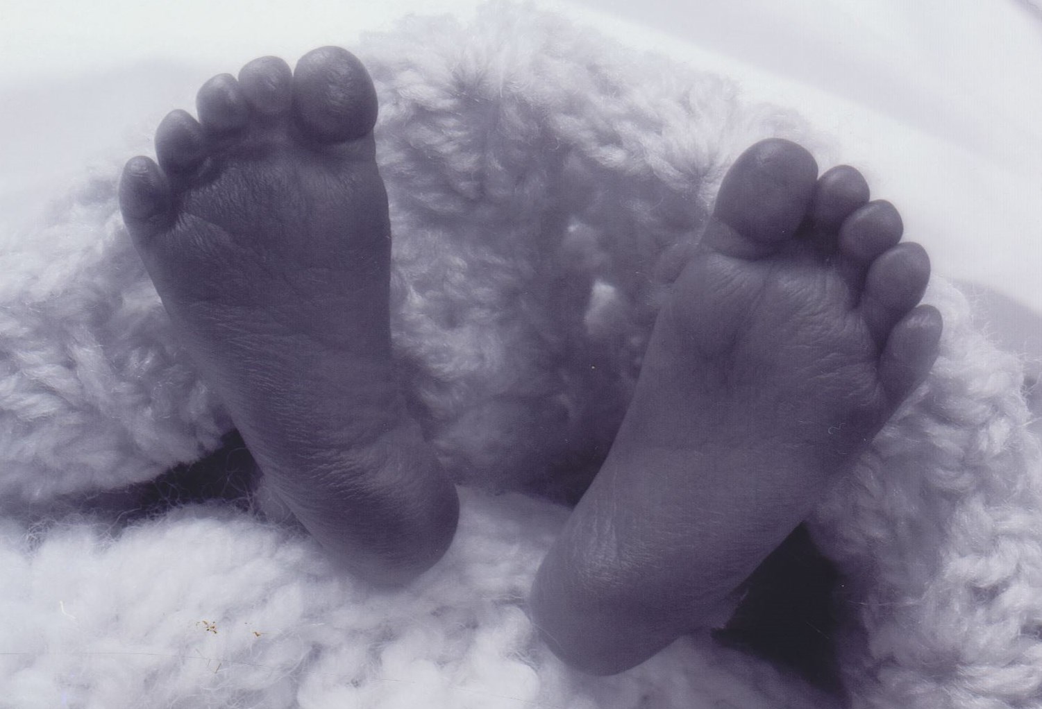 Obituary of Cayden Maverick Williams