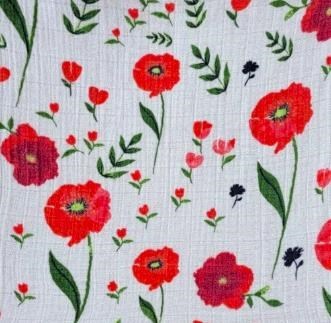 Obituary of Elizabeth "Eliza" Claire McLynn