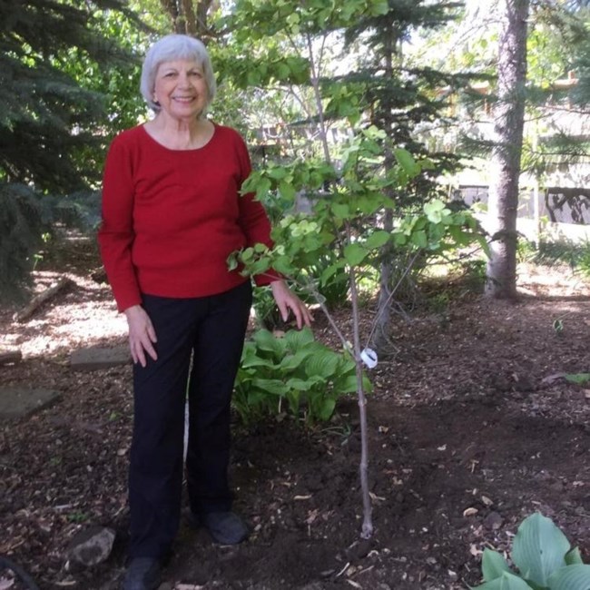 Obituary of Marilynn Ruth Marsh