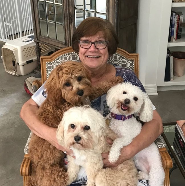 Obituary of Susan Jamail Benes