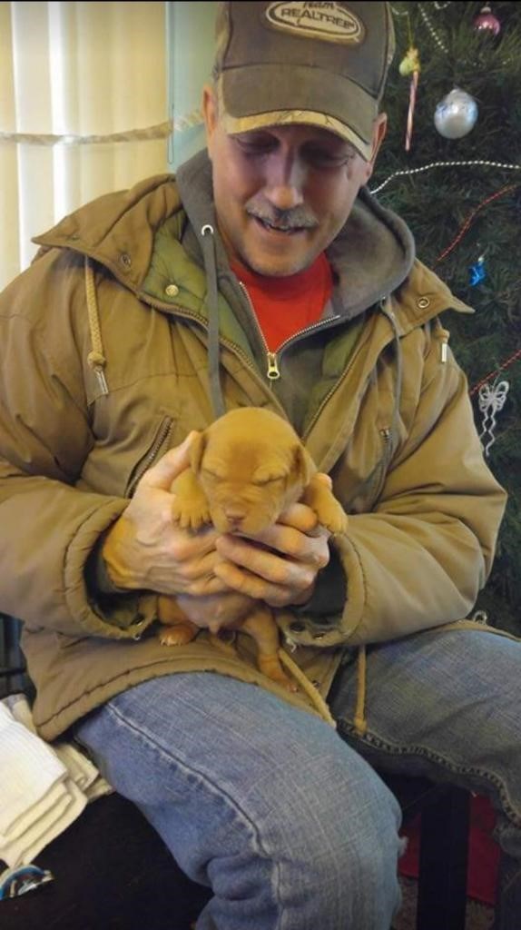 Obituary of Darcy Gene Nicholas