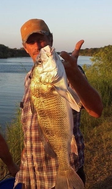 Obituario de William Wayne Witt