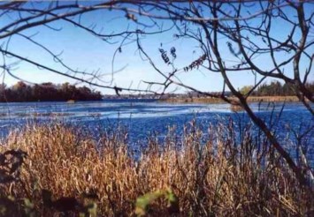 Obituary of Peter James Webber Ballantyne