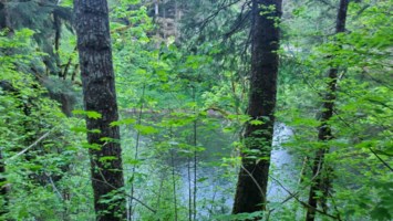 Obituary of Mehrdad Nikooei-Nejad