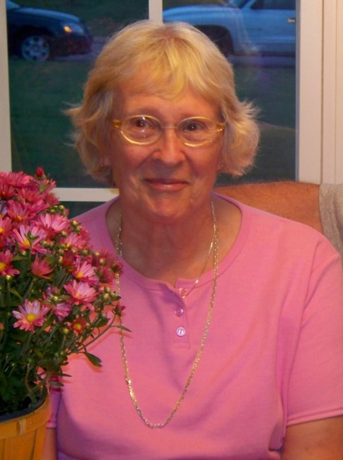 Obituary of Mary Ann Dieters