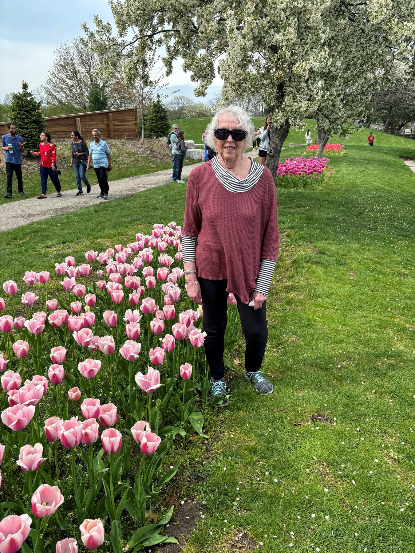 Obituary of Mary Lynn Renkema