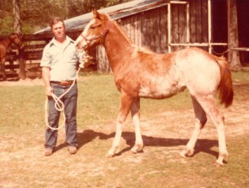 Obituary of Harry M. Harbert