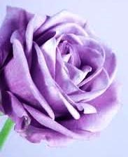 Obituary of Peggy Lynne Huber