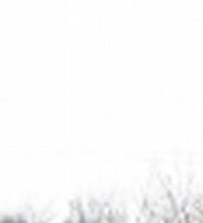Dean Charles Scanlin Obituary - Warren, MI