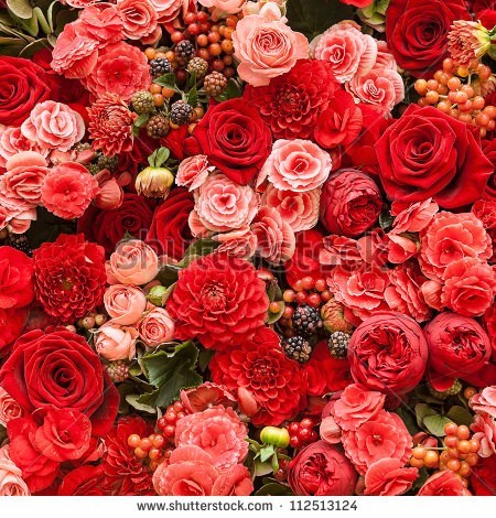 Avis de décès de Judith Mae Fox