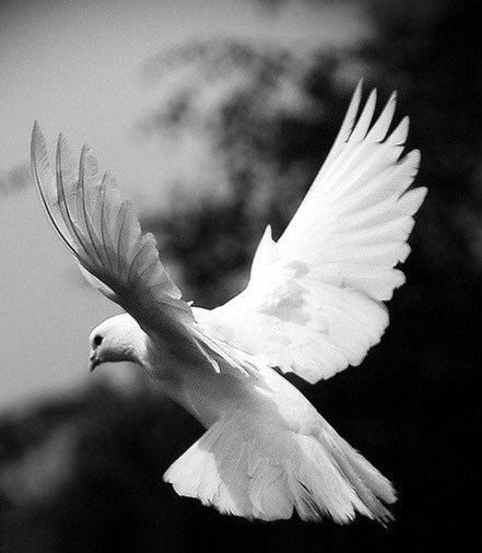 Obituary of Agnes T. Grochowski