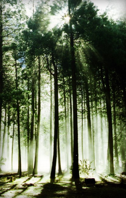 Obituary of Willard A. Smith