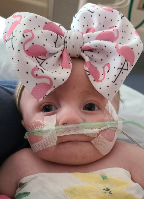 Obituary of Teagan Rain Sersch