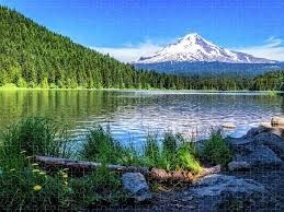 Obituary of Robert Cooper Jr.