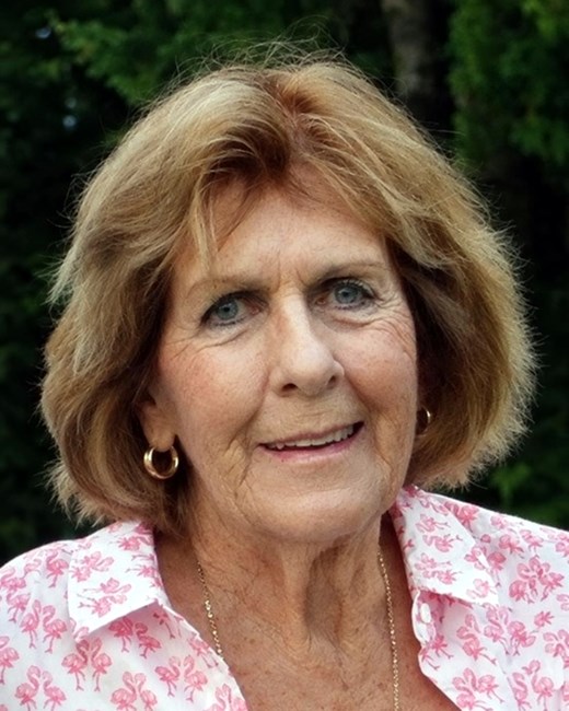 Obituary of Donna L. Veneri