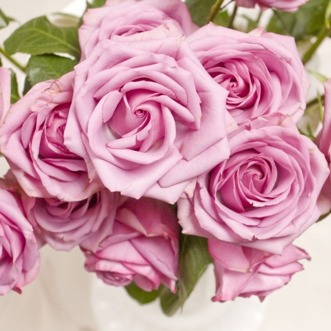 Obituary of Barbara Lynn Adams