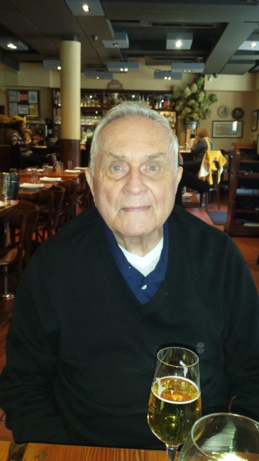 Obituary of Frank M. D'Alessandro MD