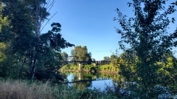 Obituary of Carole Lee James