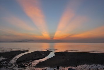 Obituary of Evelyn Irene Souza