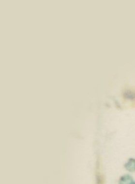 Piedad Montes Obituary El Paso, TX