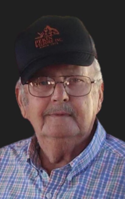 Obituary of Richard D. Null