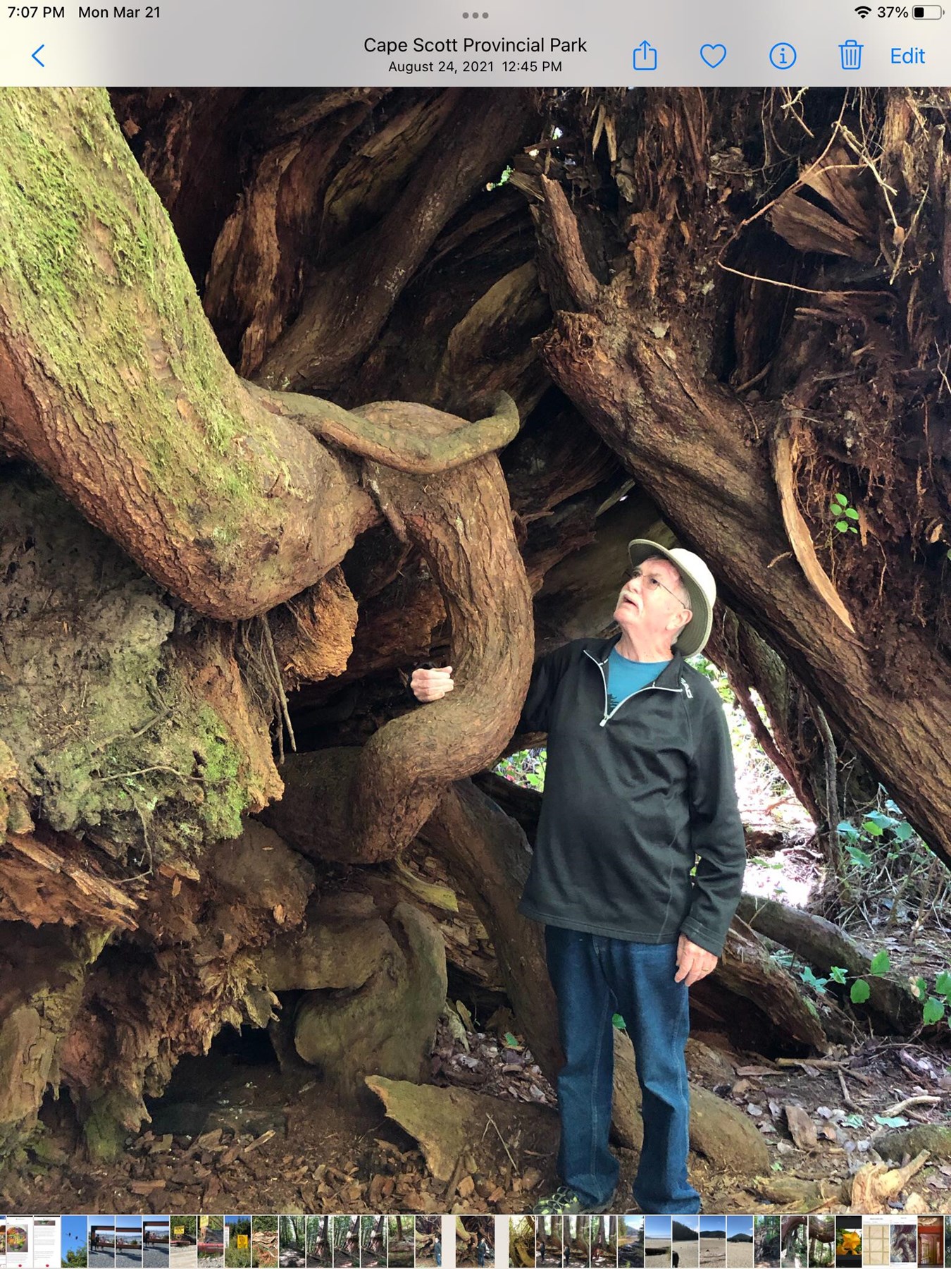 Obituario de James Edward Boyle