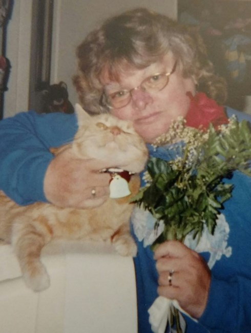 Obituary of Karen Janet Andrews