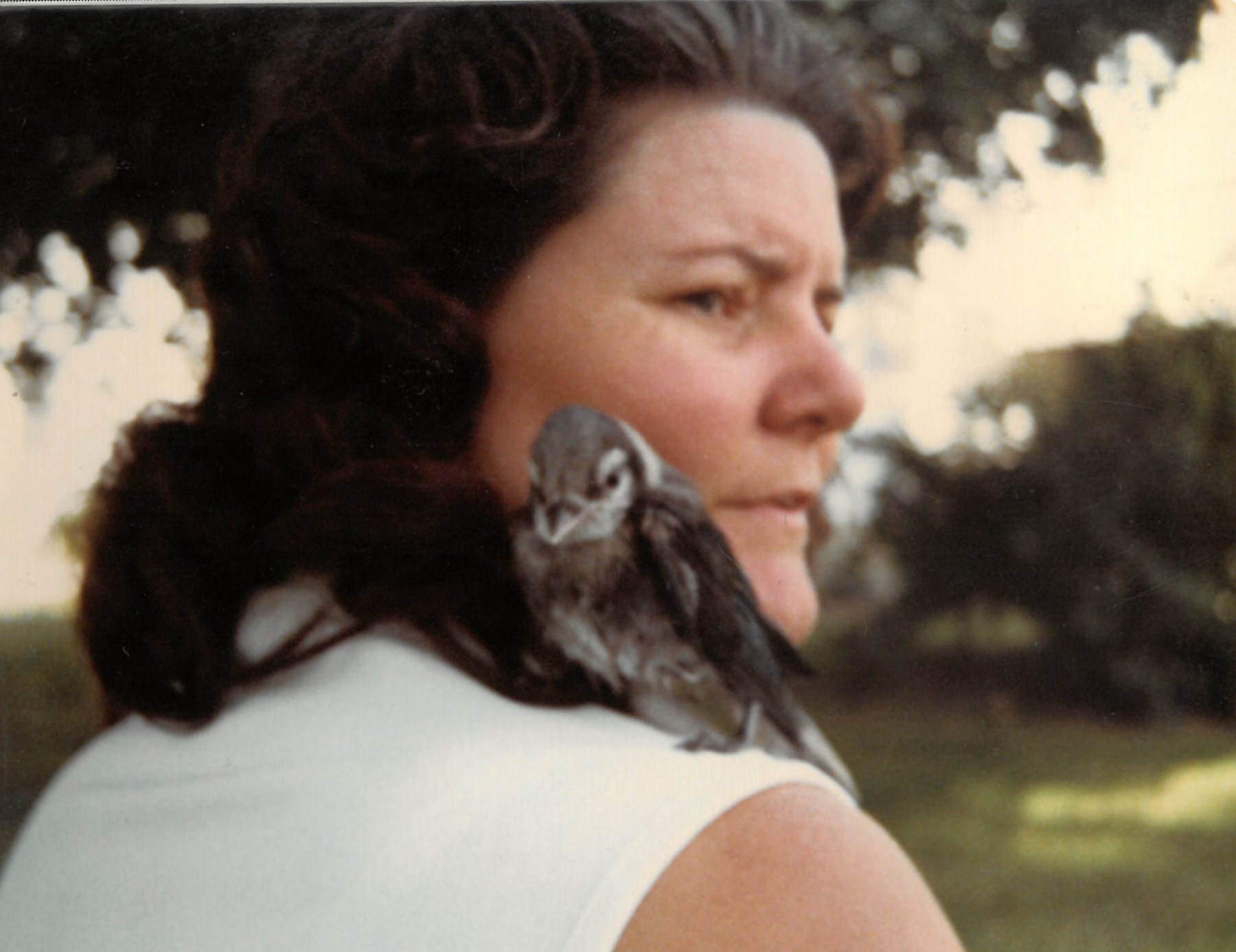 Obituary of Nancy L. Wingerter