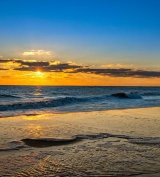 Obituario de Drake Anthony Carter