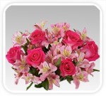 Obituary of Alma Kaye