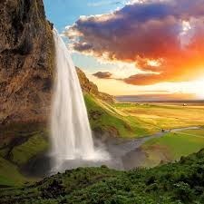 Obituary of Raul Javier Estrada