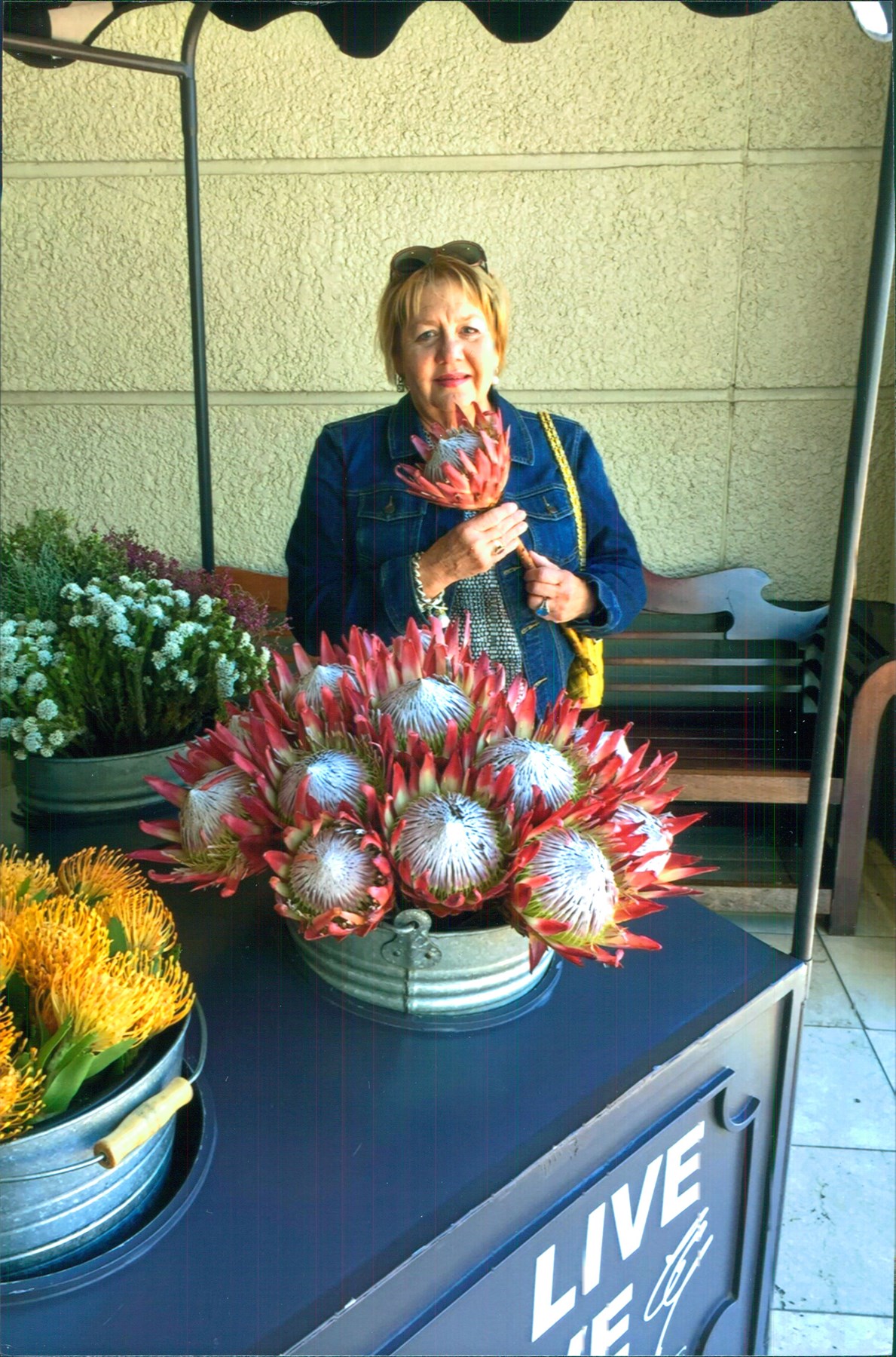 Obituary of Amy Frances Burdeshaw Herring