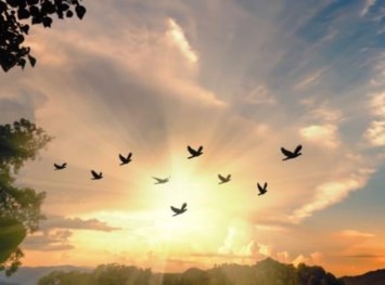 Obituary of Aadu Rein