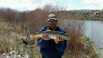 Obituary of Steve Kraus