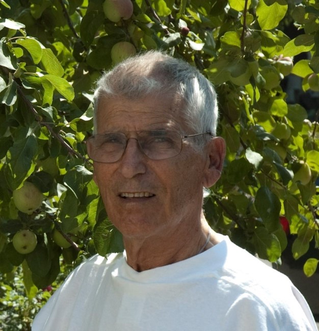 Obituary of Michele Pileggi