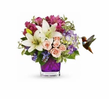 Obituary of Elaine D Mummey