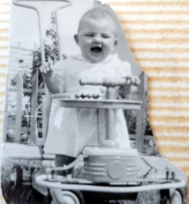 Obituario de Darla Lee Dart