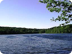 Obituary of Arthur Leo DuBois