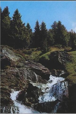 Obituary of Ruben Espinosa