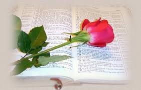 Obituary of Marjorie Lenora Dore