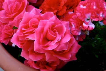 Obituary of Roberta Schubert