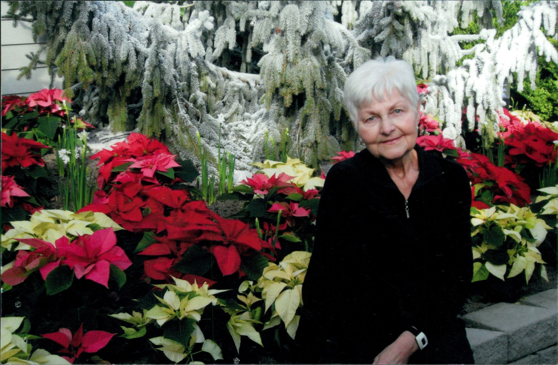 Obituary of Evelyn June Hamilton