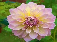 Obituary of Laura Michelle Anderson