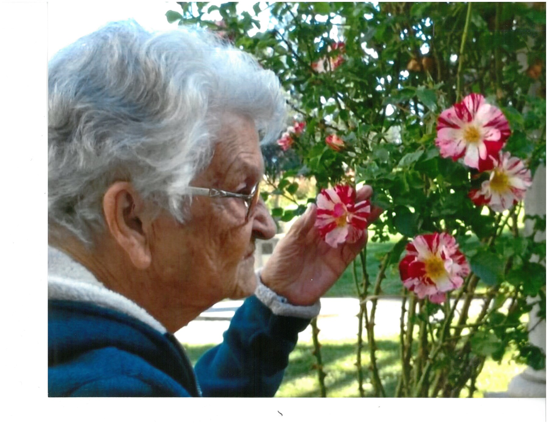 Obituary of Christine Chapman